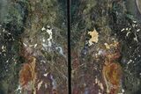 Green Jasper Replaced Petrified Wood Bookends - Oregon #158883-2